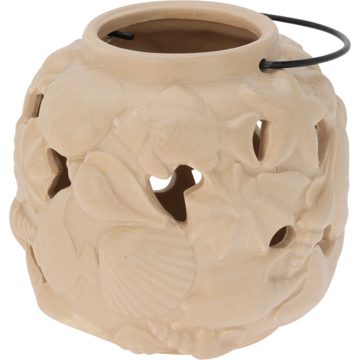 lantern-shell-2-assorted