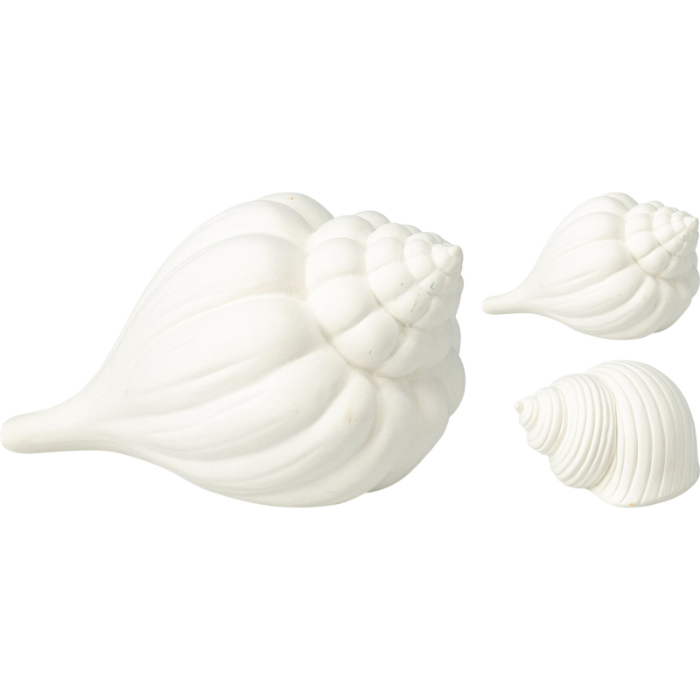 sea-shell-deco-porcelain-2ass