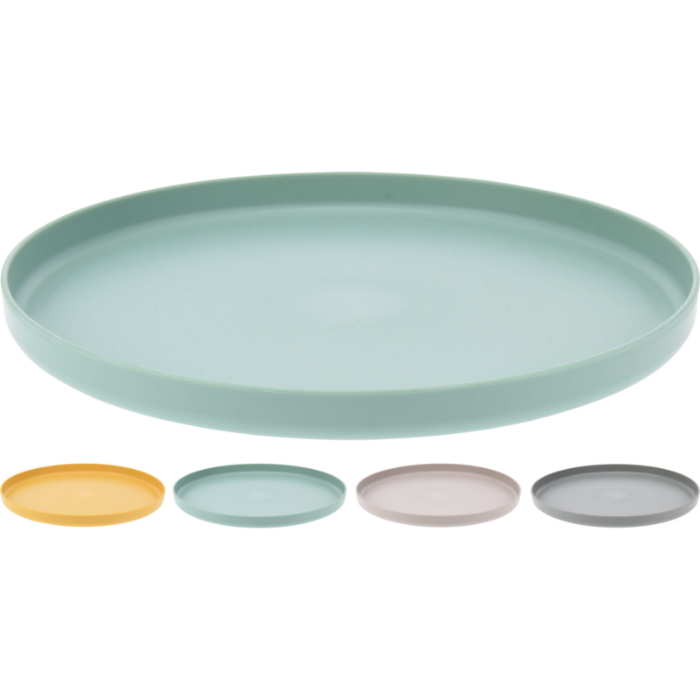 plastic-plate-4-assorted-w25cm