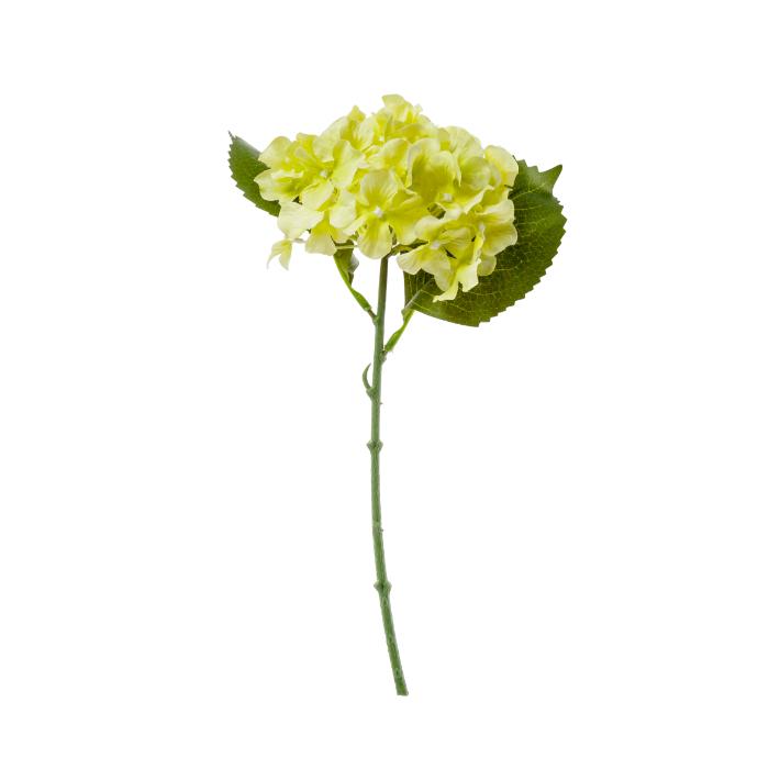 hydrangea-x1-32-5cm