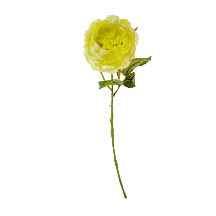 peony-x1-40cm-green