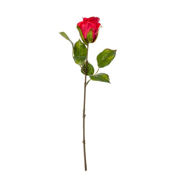 rose-x1-42-5cm-red
