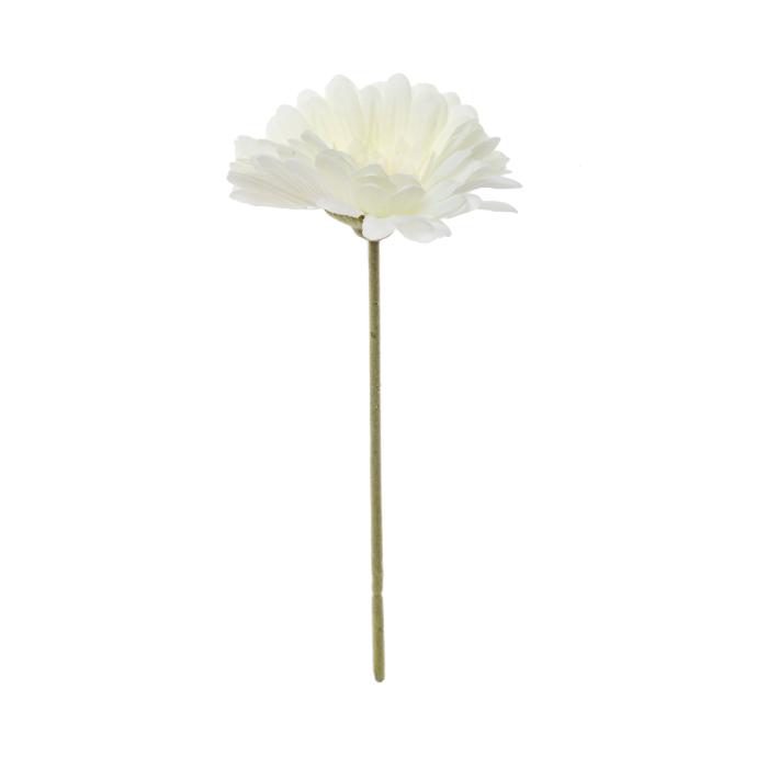 gerbera-x1-25cm-cream