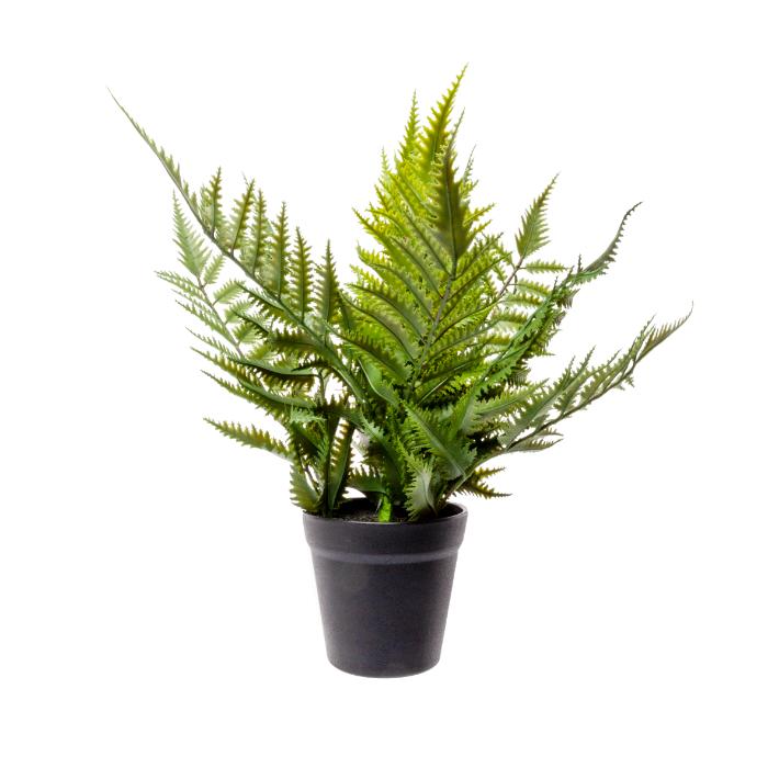 fern-bush-37cm