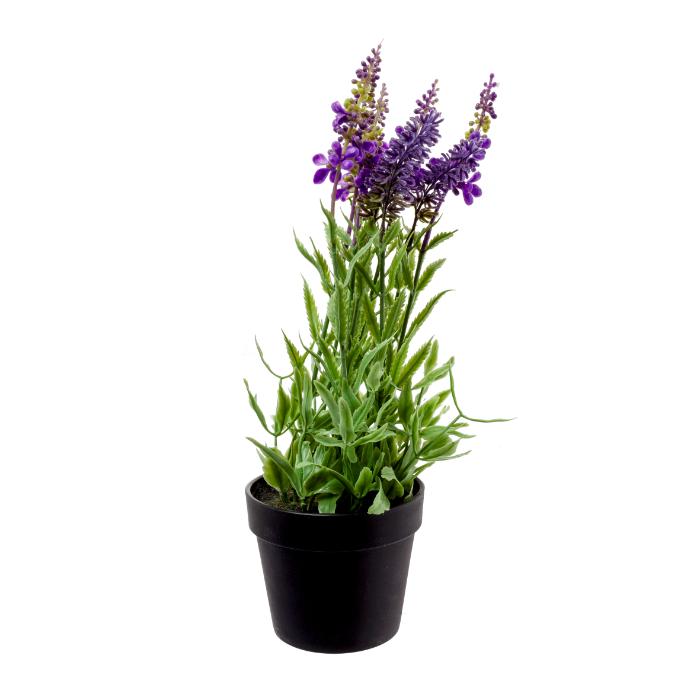 lavender-x9-with-base-30cm