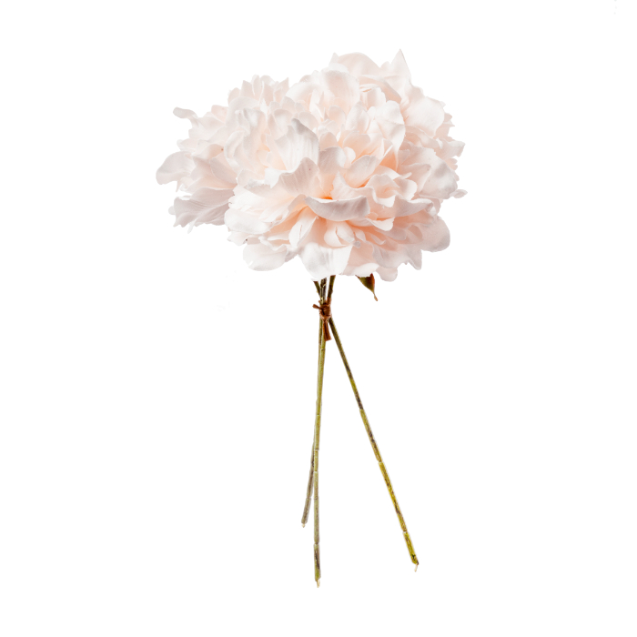 peony-bunle-x3-28cm-pink
