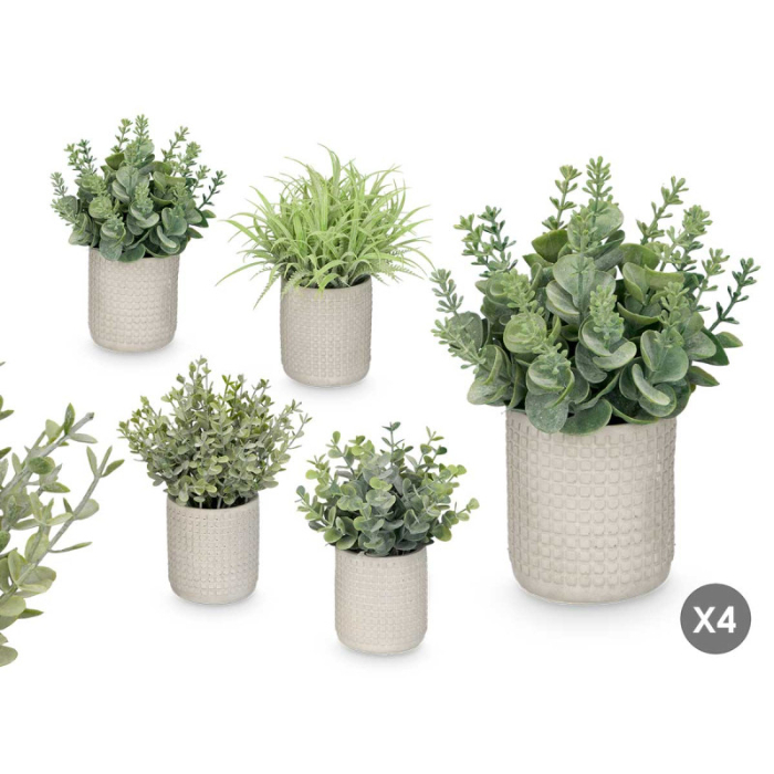 round-pot-green-leaves-assorted-4