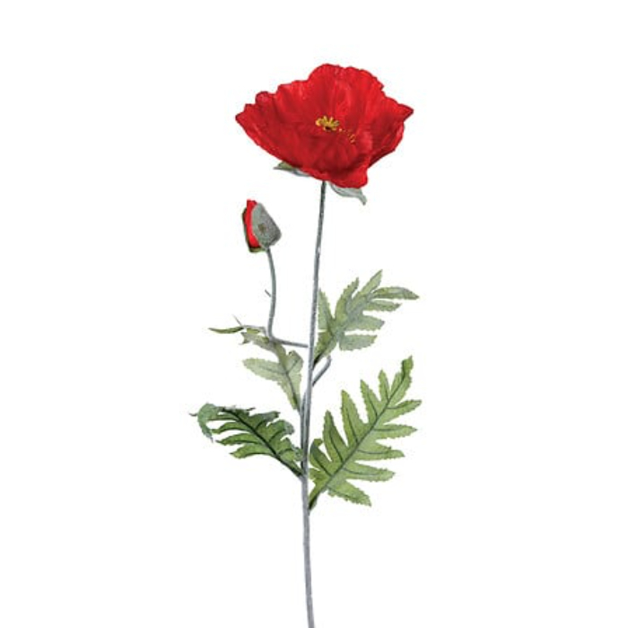 atmosphera-1-head-poppy-marque-h70cm