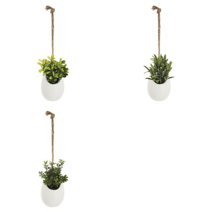 atmosphera-mini-plant-in-pot-h10-3-assorted