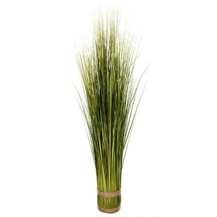 atmosphera-onion-grass-d12-h100