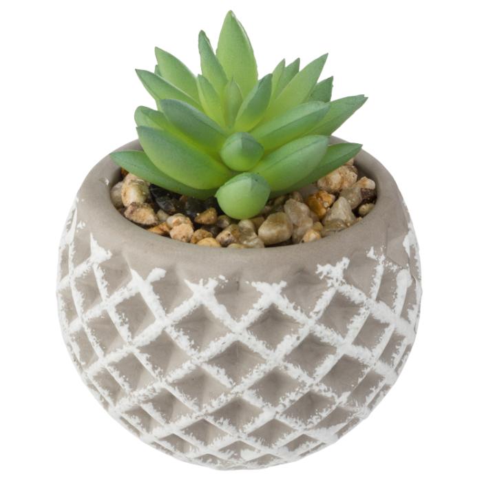 succulent-cement-pot-d8xh9-atmosphera