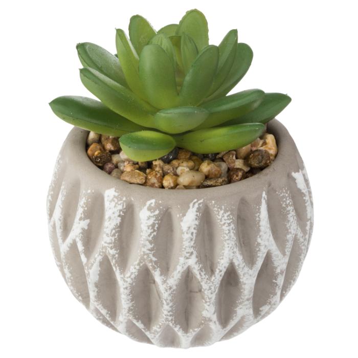 succulent-cement-pot-d8xh9-atmosphera