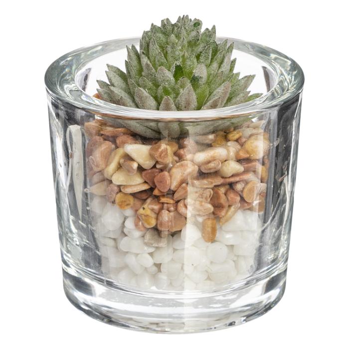 glass-w-plant-atmosphera