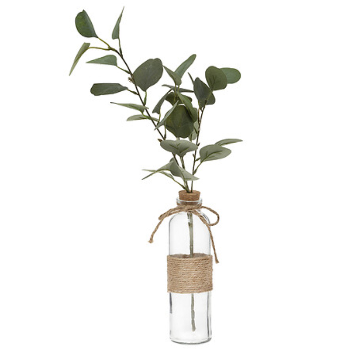 atmosphera-eucalyptus-with-glass-vase
