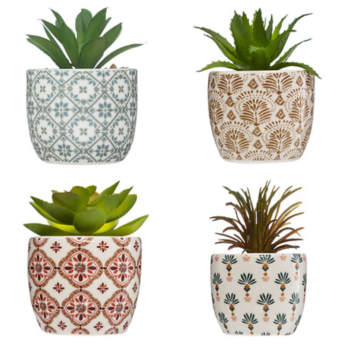 atmosphera-plant-with-pot-d5-5-4-assorted-1pc-specify-colour-