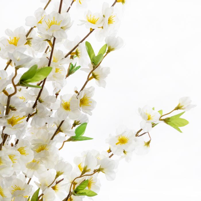 atmosphera-cherry-blossom-tree-h100