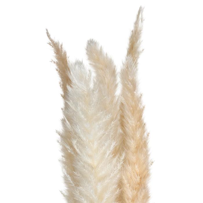 atmosphera-pampa-nat-stem-x6-h60