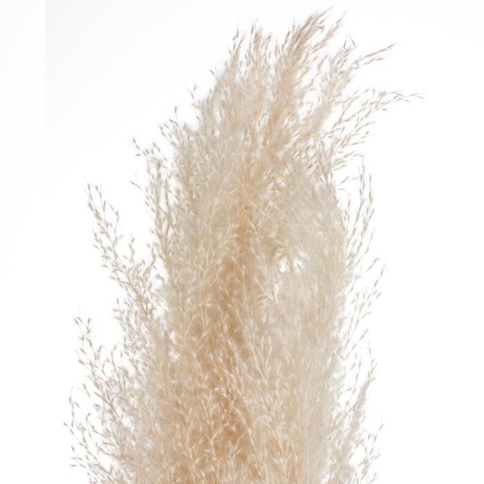 atmosphera-pampa-nat-stem-x3-h110