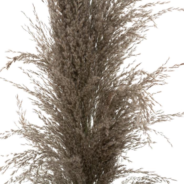 atmosphera-brown-pampa-x3-h110