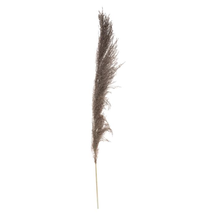 atmosphera-brown-pampa-x3-h110