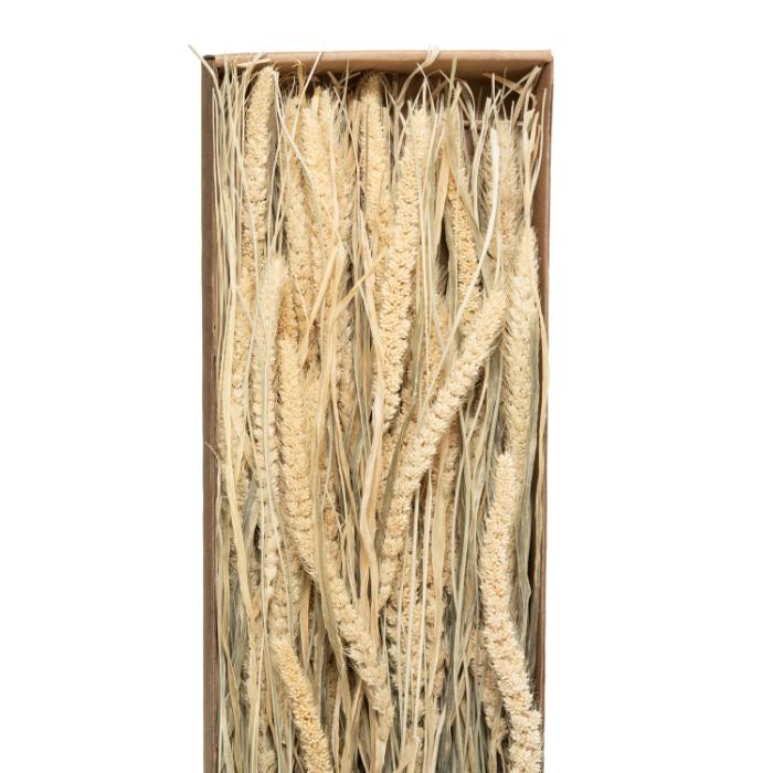atmosphera-dryed-bouquet-nat-display-h60