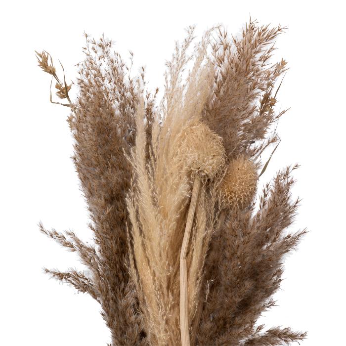 atmosphera-dried-pampa-bouquet-ori-h58