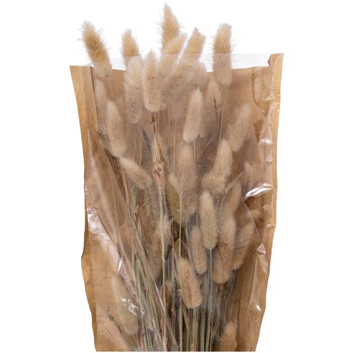 atmosphera-bunny-tails-bouquet-ori