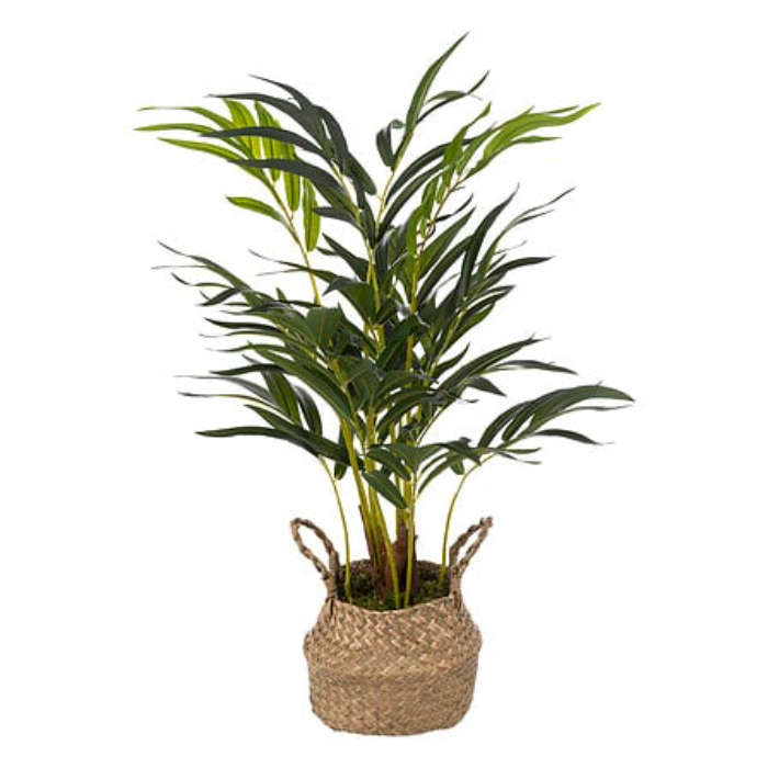 amtosphera-palm-tree-80-cm-high-with-natural-pot