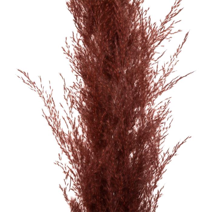 atmosphera-red-pampa-x3-h110