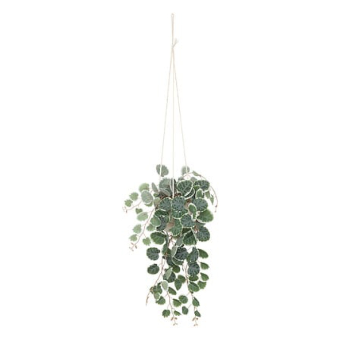atmosphera-hanging-plant-h30cm