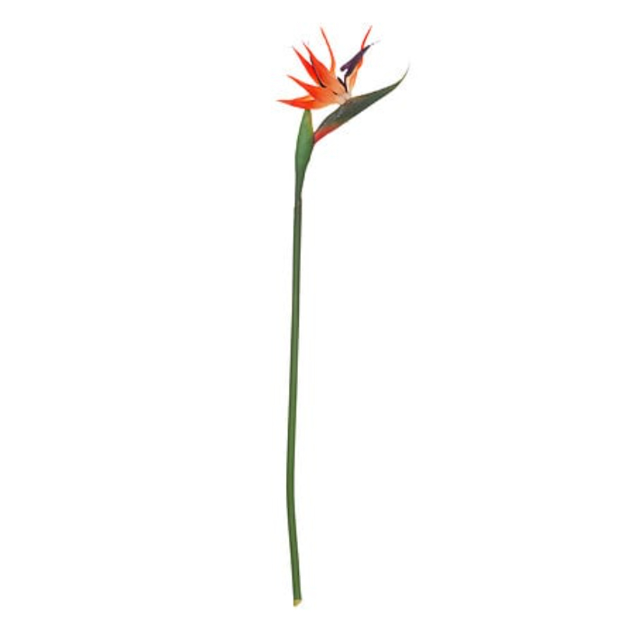 atmosphera-artificial-bird-of-paradise-stem-h83cm