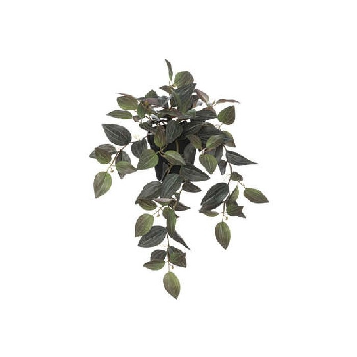 atmosphera-tradescantia-plant-h45cm