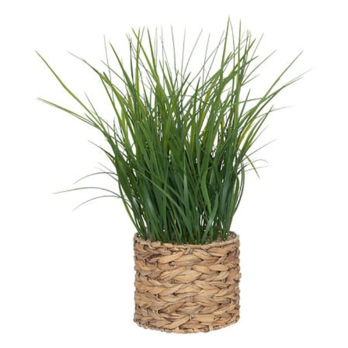 atmosphera-plant-with-pot-h70cm