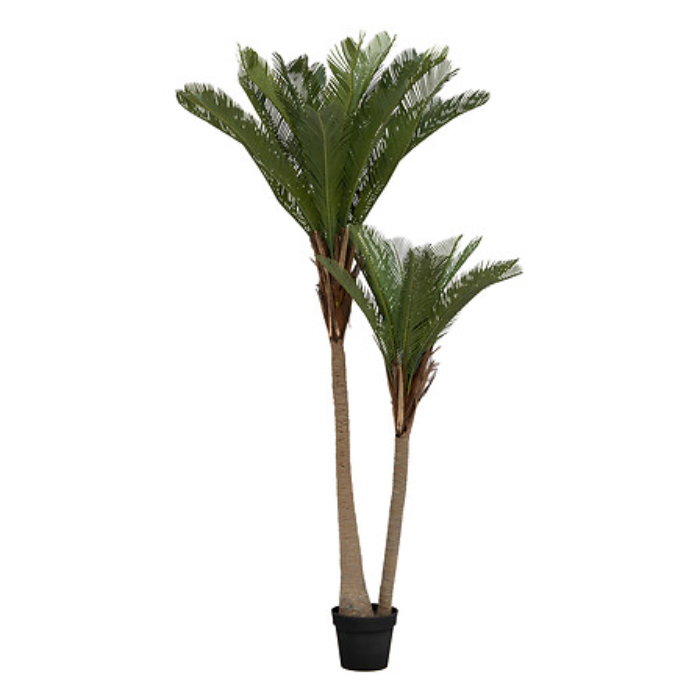 atmosphera-tropical-boudoir-2-trunk-palm-tree-with-pot-h180cm