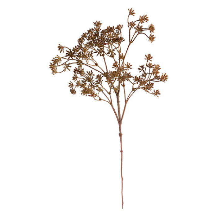 atmosphera-yarrow-stem-james-h51