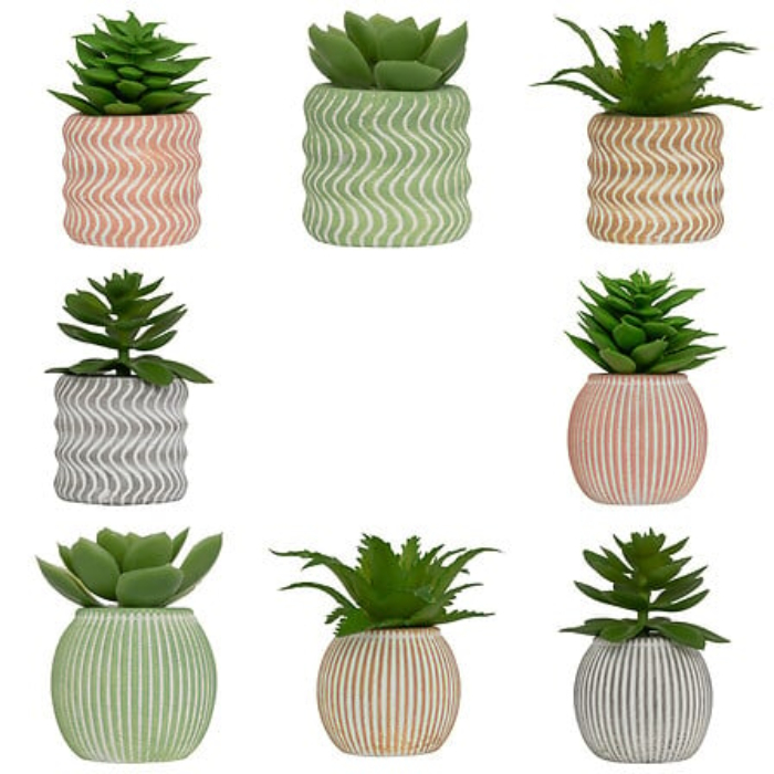 atmosphera-succulent-with-cement-pot-8-assorted-h7-1pc-specify-colour-
