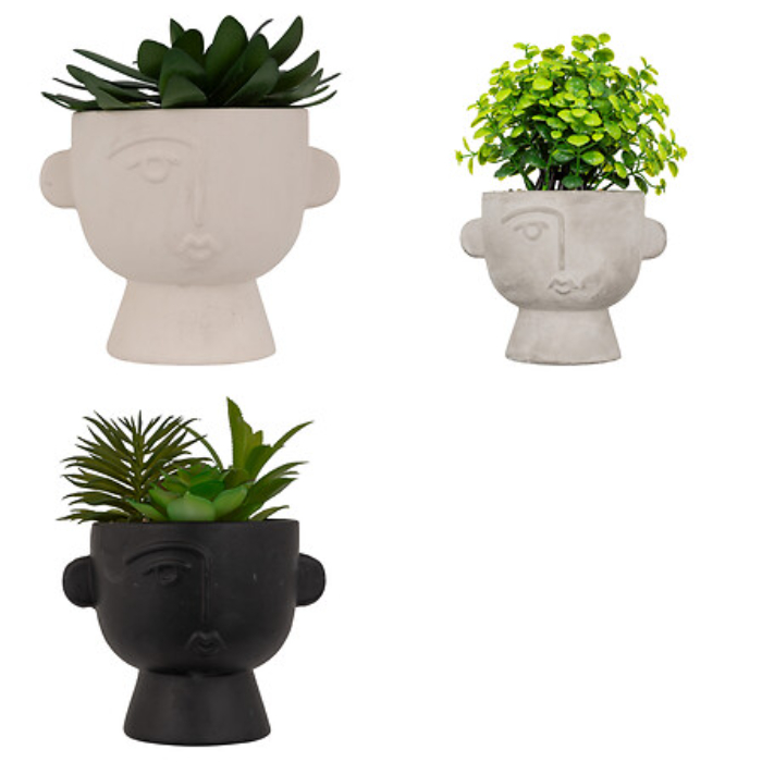 atmosphera-succulent-with-pot-3-assorted-designs-h-16cm-1pc-specify-colour-