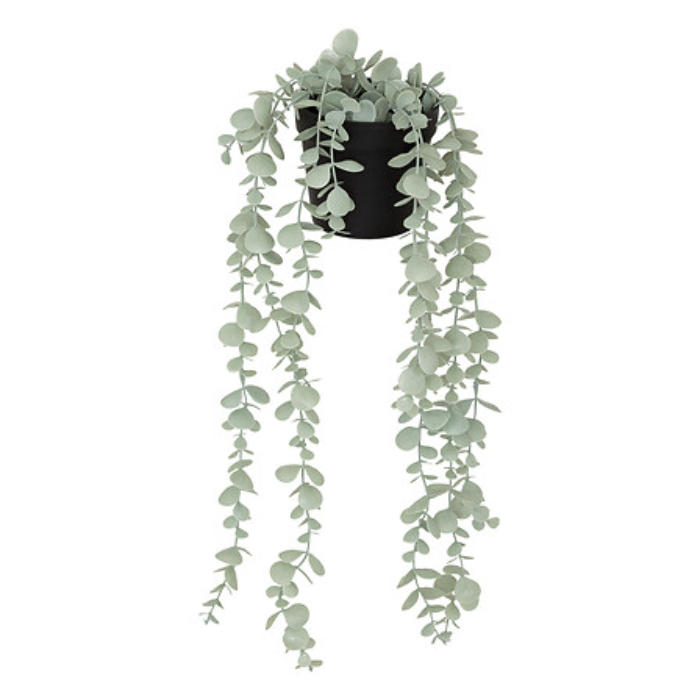 atmosphera-merly-eucalyptus-–-3-assorted-colours-h51cm