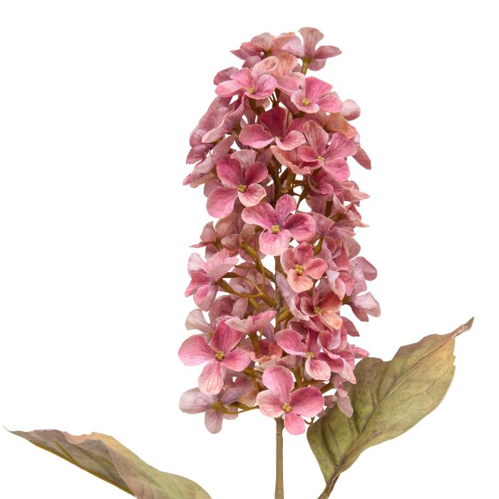 hyacynthe-stem-fria-h66-atmosphera