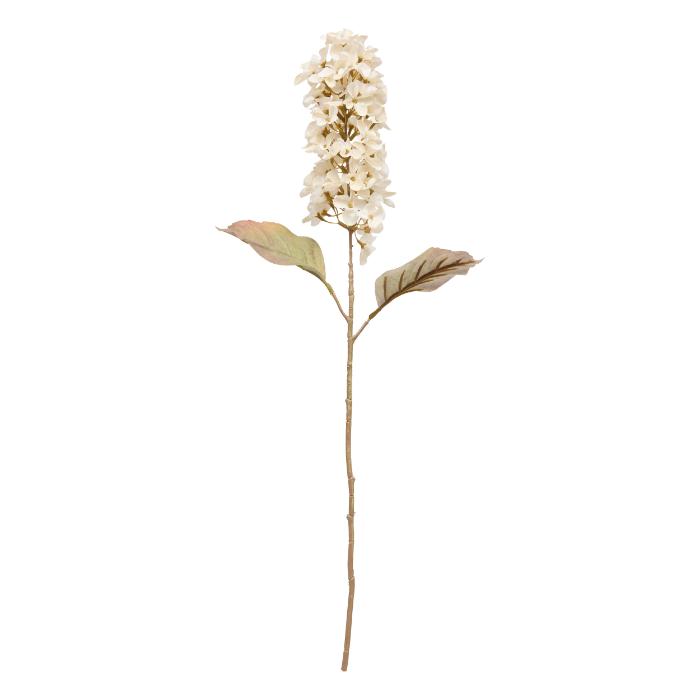 hyacynthe-stem-fria-h66-atmosphera