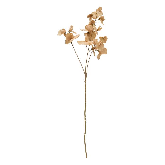 euca-stem-fria-h74-atmosphera