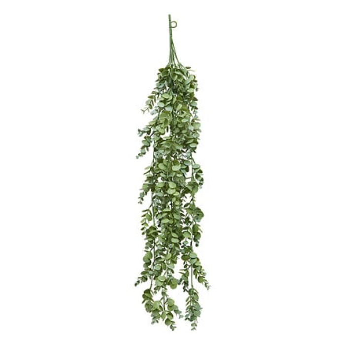 atmosphera-trailing-eucalyptus-plant-stem-james-h80-green