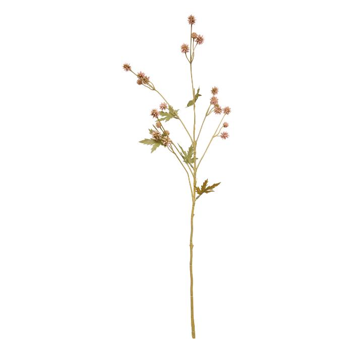 atmosphera-sanicula-stem-fria-h67