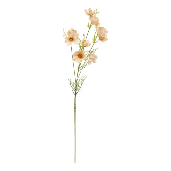 atmosphera-coreopsis-stem-phoebe-h88