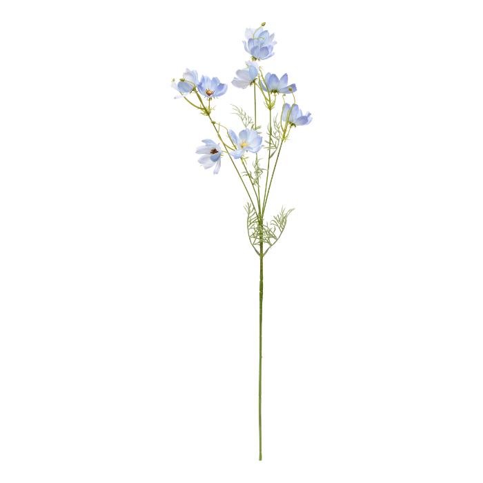 atmosphera-coreopsis-stem-phoebe-h88