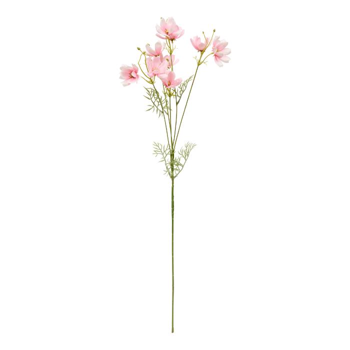 atmosphera-coreopsis-stem-phoebe-h88