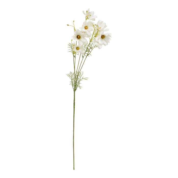 atmosphera-coreopsis-stem-phoebe-h88