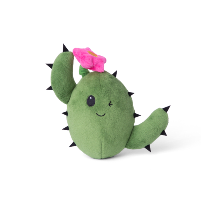 bark-consuela-the-cactus