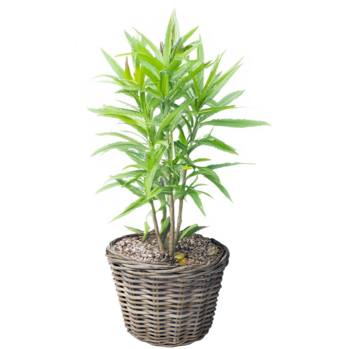 pot-classic-rattan-grey-d30h27cm-split
