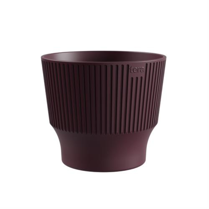 mini-15-plum